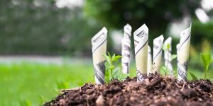 Beginner investing tips