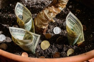 Common investing misconceptions