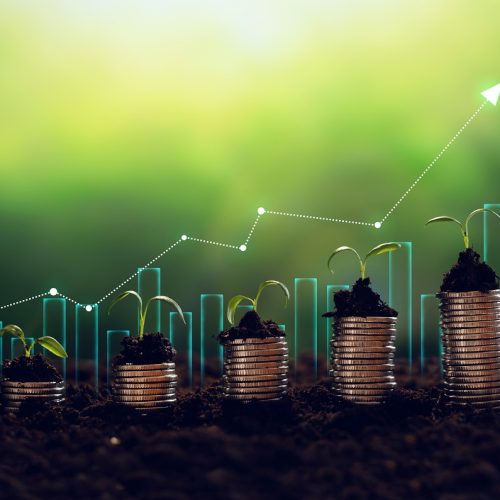 Investment Myths Debunked: What New Investors Need to Know